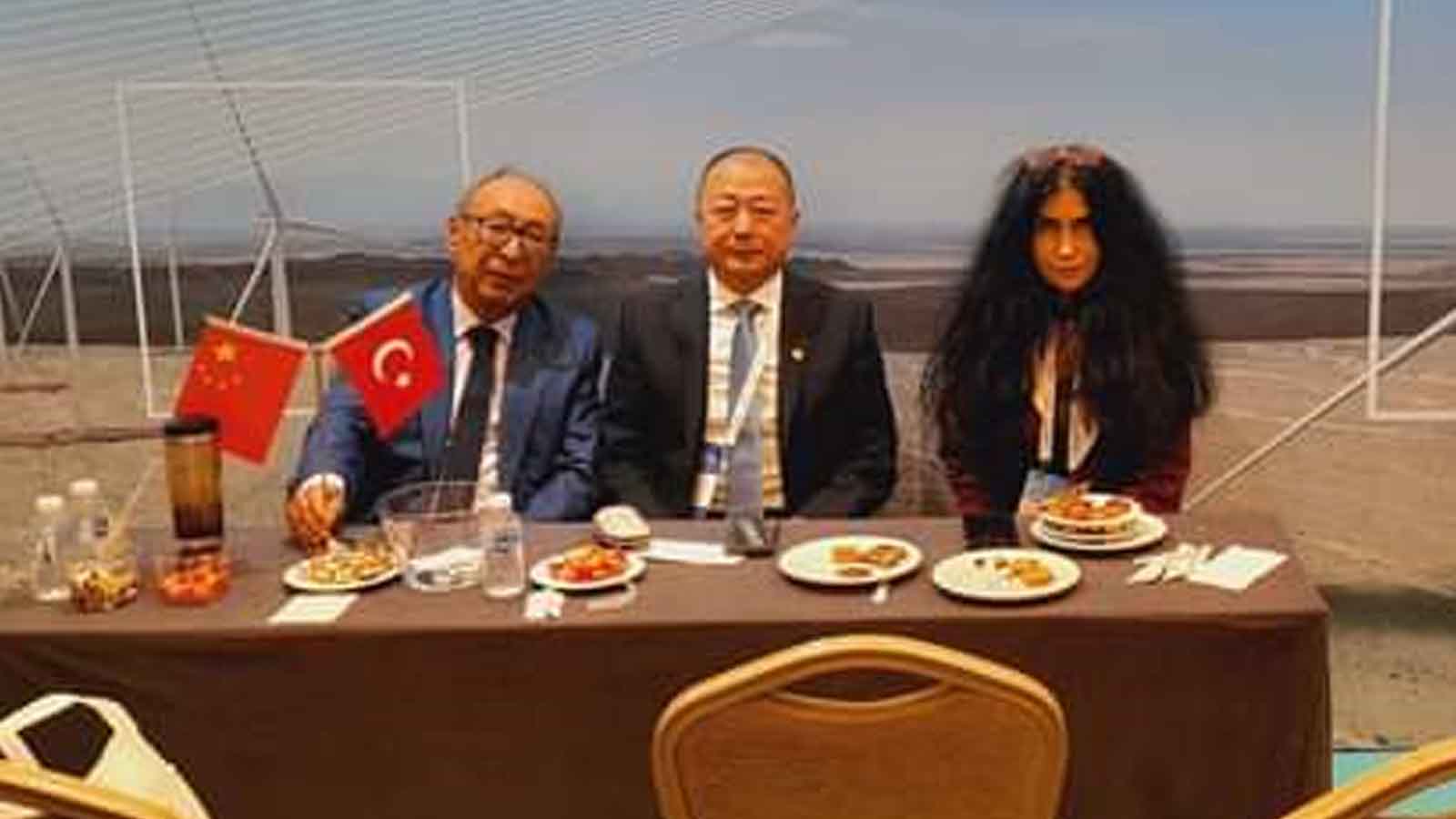 Türkiye Rüzgar Enerjisi Kongresi, TÜrek Türkiye Rüzgâr Enerjisi Birliği, Çiğdem Yorgancıoğlu