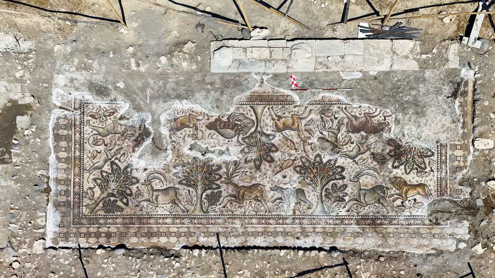 Tarihe işık tutan proje ‘yerin altındaki bütün cevherleri Çıkarıyoruz’ salkaya’da