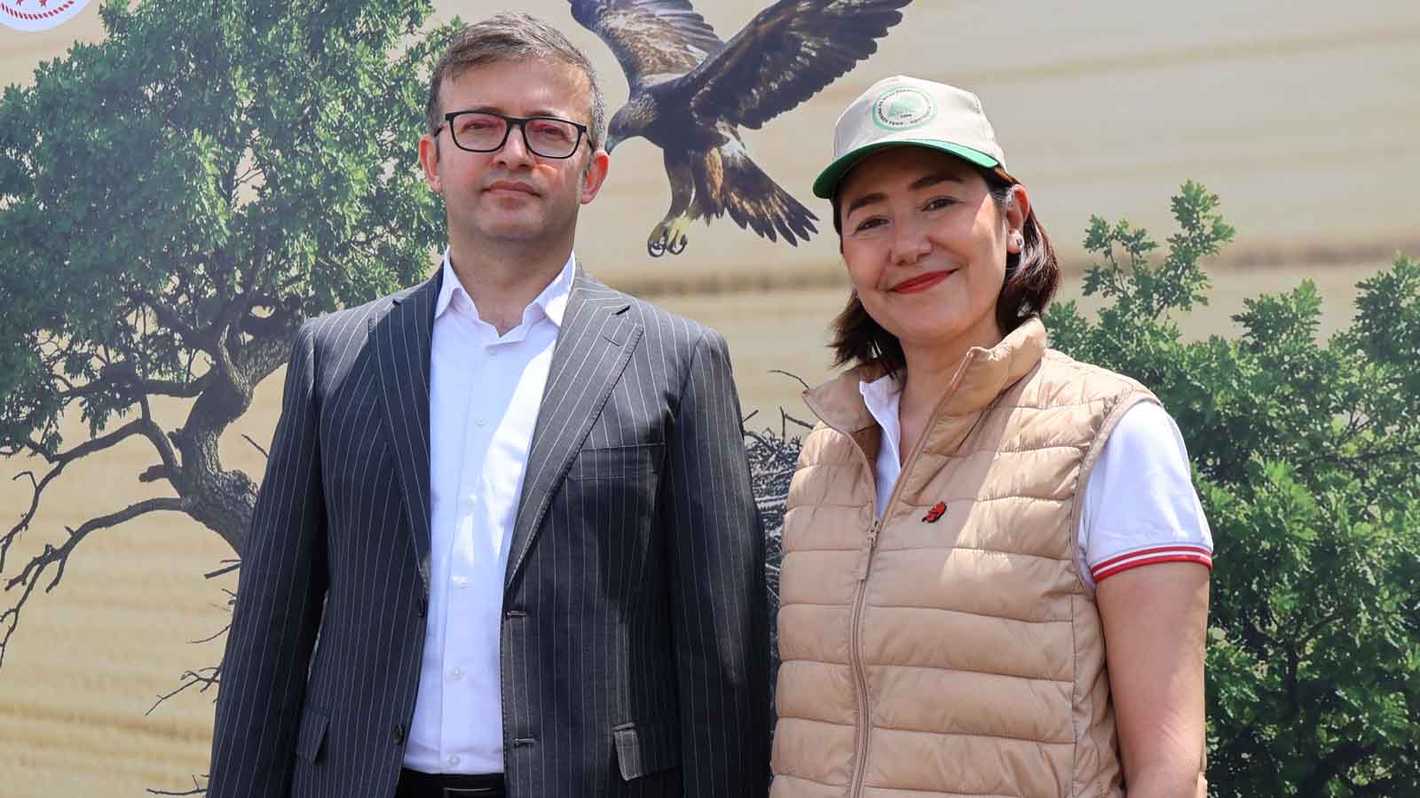 Elektrik hatları kuşlar İçin tehlike tredaŞ kuş dostu altyapıya geçiyor